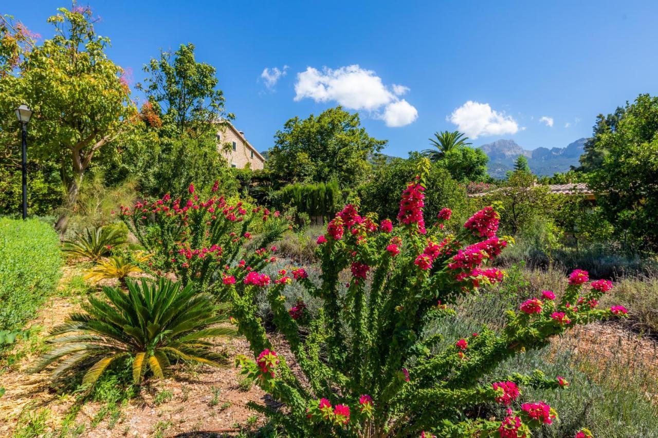 Finca Ca'S Curial - Agroturismo - Adults Only Soller Ngoại thất bức ảnh