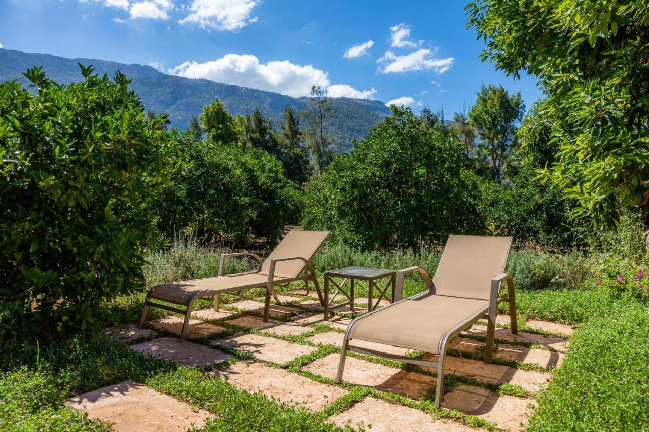 Finca Ca'S Curial - Agroturismo - Adults Only Soller Ngoại thất bức ảnh