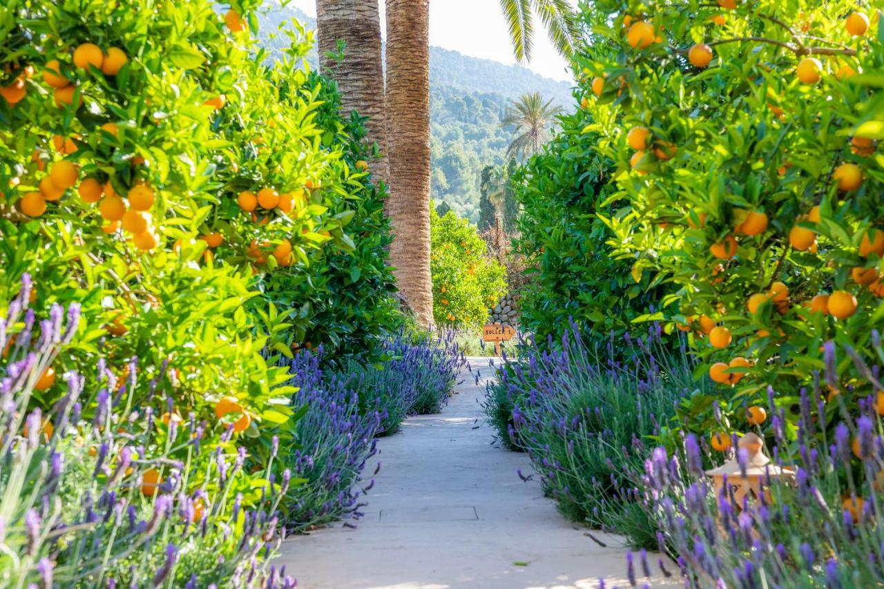 Finca Ca'S Curial - Agroturismo - Adults Only Soller Ngoại thất bức ảnh