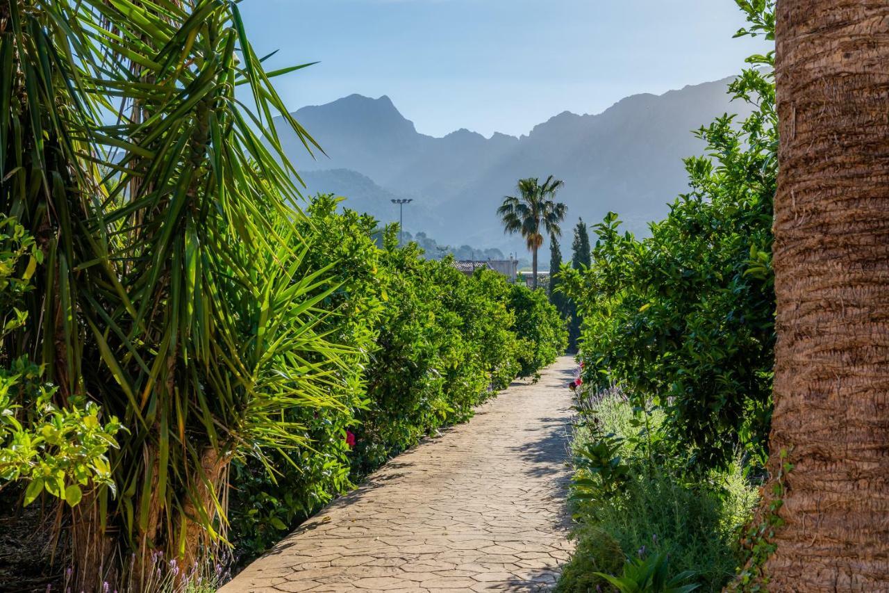 Finca Ca'S Curial - Agroturismo - Adults Only Soller Ngoại thất bức ảnh