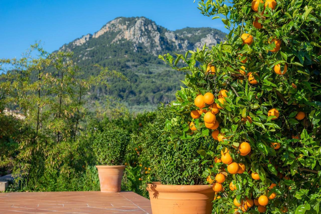 Finca Ca'S Curial - Agroturismo - Adults Only Soller Ngoại thất bức ảnh