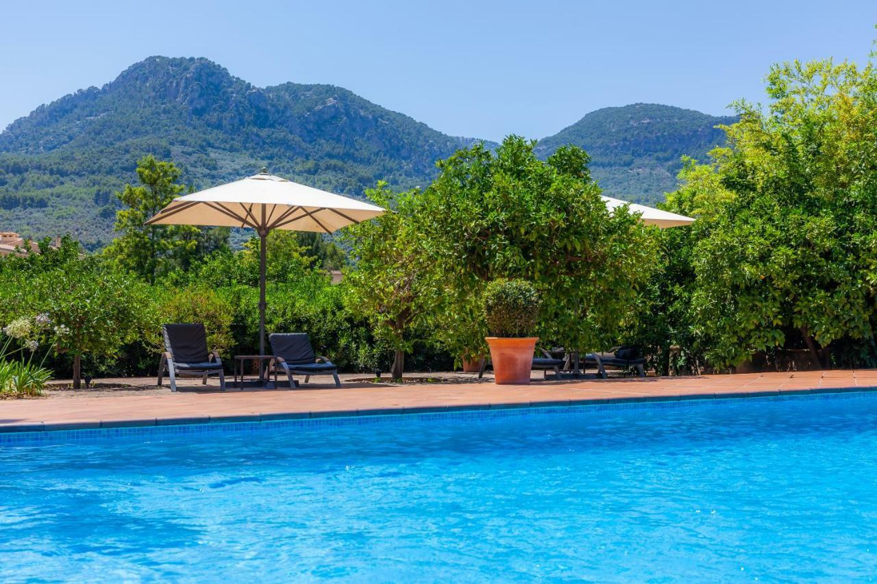 Finca Ca'S Curial - Agroturismo - Adults Only Soller Ngoại thất bức ảnh